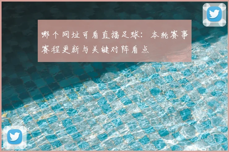 哪个网址可看直播足球:本轮赛事赛程更新与关键对阵看点