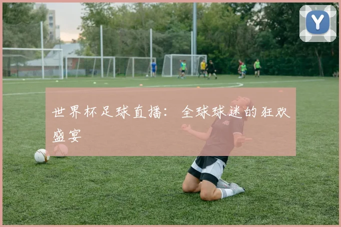 世界杯足球直播：全球球迷的狂欢盛宴