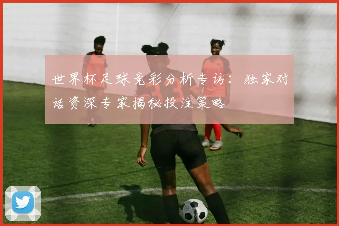世界杯足球竞彩分析专访：独家对话资深专家揭秘投注策略