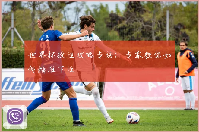 世界杯投注攻略专访:专家教你如何精准下注