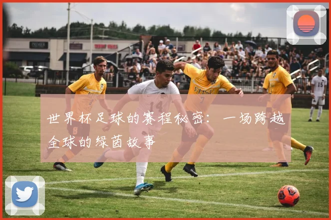 世界杯足球的赛程秘密：一场跨越全球的绿茵故事